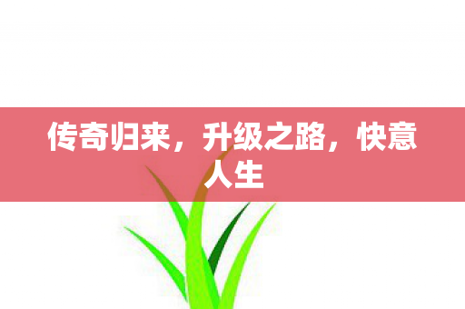 传奇归来图片