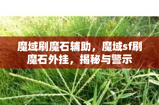 魔域刷魔石辅助,魔域sf刷魔石外挂,揭秘与警示 魔域刷魔石辅助,魔域sf刷魔石外挂,揭秘与警示