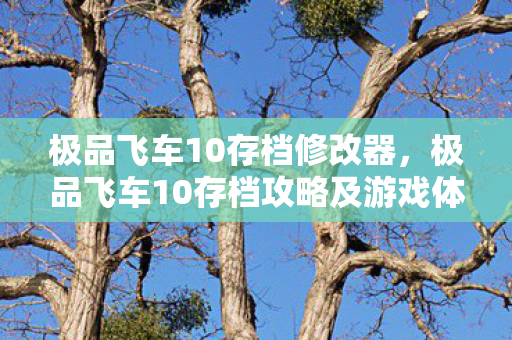极品飞车10存档修改器，极品飞车10存档攻略及游戏体验分享