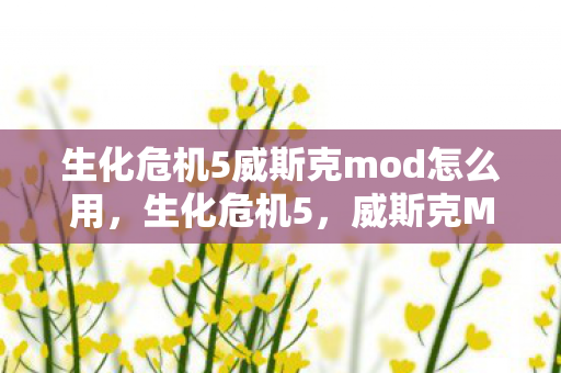 生化危机5威斯克mod怎么用，生化危机5，威斯克MOD的深度解析