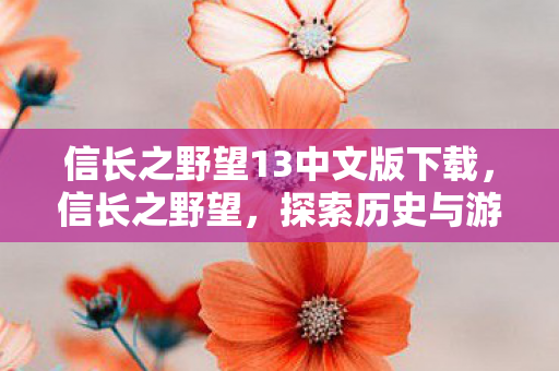 信长之野望13中文版下载，信长之野望，探索历史与游戏的交融之美