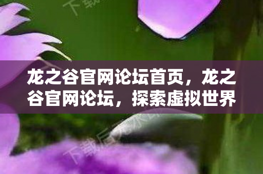 龙之谷官网论坛首页，龙之谷官网论坛，探索虚拟世界的无尽魅力