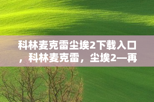 科林麦克雷尘埃2下载入口，科林麦克雷，尘埃2—再现经典，续写传奇