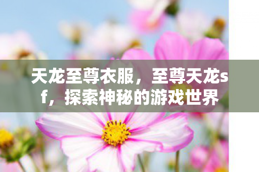天龙至尊衣服，至尊天龙sf，探索神秘的游戏世界