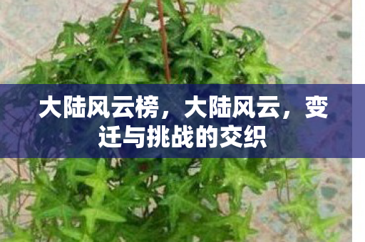 大陆风云榜，大陆风云，变迁与挑战的交织