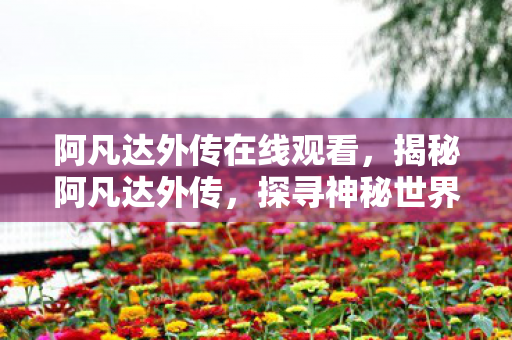阿凡达外传在线观看，揭秘阿凡达外传，探寻神秘世界的未知之旅