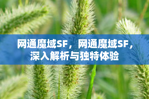 网通魔域SF，网通魔域SF，深入解析与独特体验