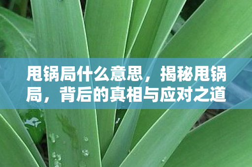 甩锅局什么意思,揭秘甩锅局,背后的真相与应对之道 甩锅局什么意思,揭秘甩锅局,背后的真相与应对之道
