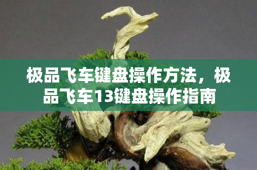 极品飞车键盘操作方法，极品飞车13键盘操作指南