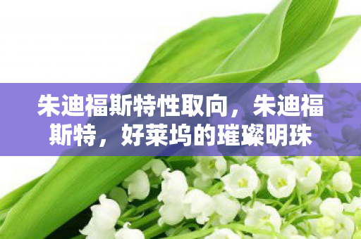 朱迪福斯特性取向,朱迪福斯特,好莱坞的璀璨明珠 朱迪福斯特性取向,朱迪福斯特,好莱坞的璀璨明珠
