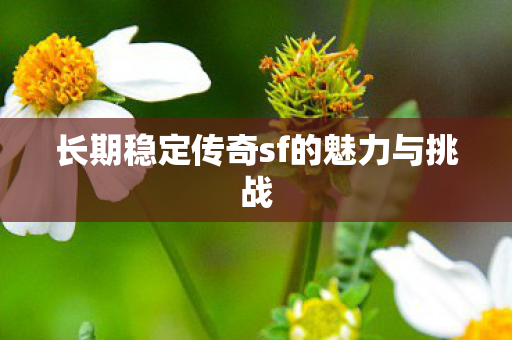 长期稳定传奇sf的魅力与挑战