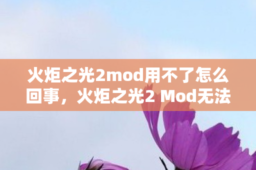 火炬之光2mod用不了怎么回事，火炬之光2 Mod无法使用问题解析