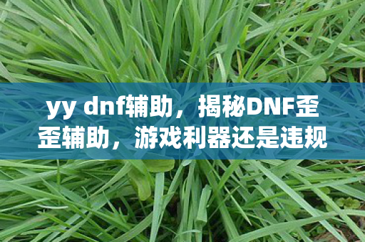 yy dnf辅助,揭秘DNF歪歪辅助,游戏利器还是违规陷阱? yy dnf辅助,揭秘DNF歪歪辅助,游戏利器还是违规陷阱?