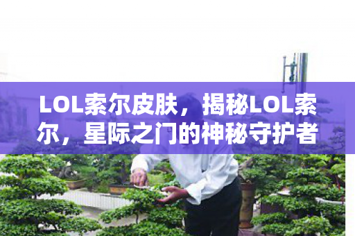 LOL索尔皮肤，揭秘LOL索尔，星际之门的神秘守护者