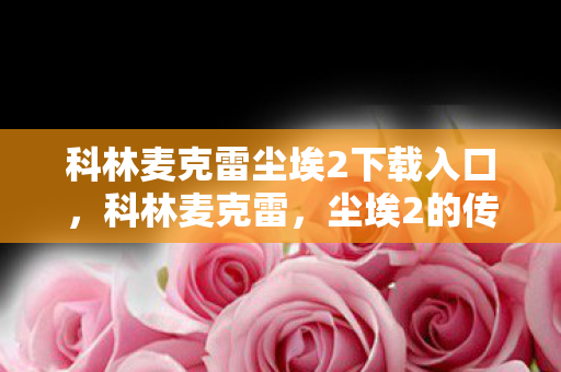 科林麦克雷尘埃2下载入口，科林麦克雷，尘埃2的传奇人生