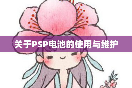 关于PSP电池的使用与维护图片