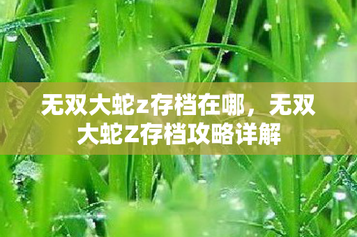 无双大蛇z存档在哪,无双大蛇Z存档攻略详解 无双大蛇z存档在哪,无双大蛇Z存档攻略详解