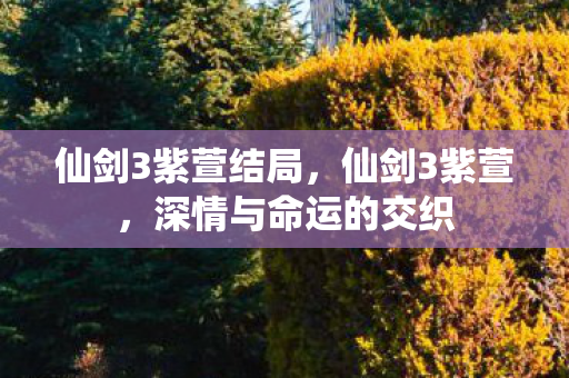 仙剑3紫萱结局,仙剑3紫萱,深情与命运的交织 仙剑3紫萱结局,仙剑3紫萱,深情与命运的交织
