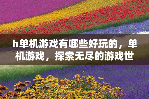 h单机游戏有哪些好玩的,单机游戏,探索无尽的游戏世界 h单机游戏有哪些好玩的,单机游戏,探索无尽的游戏世界