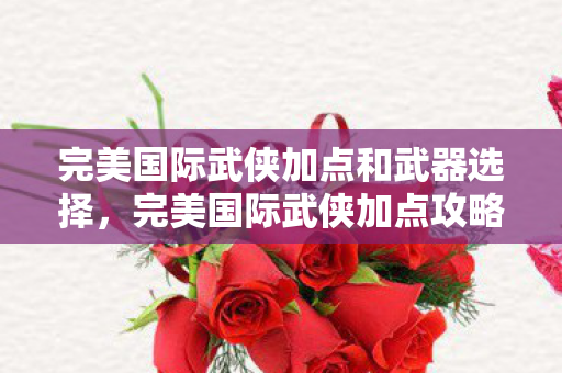 完美国际武侠加点和武器选择，完美国际武侠加点攻略，打造无敌角色，轻松登顶排行榜