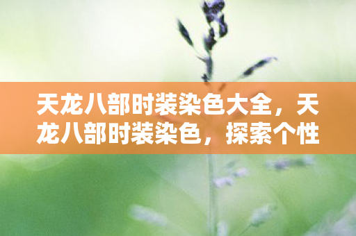 天龙八部时装染色大全,天龙八部时装染色,探索个性时尚的新境界 天龙八部时装染色大全,天龙八部时装染色,探索个性时尚的新境界