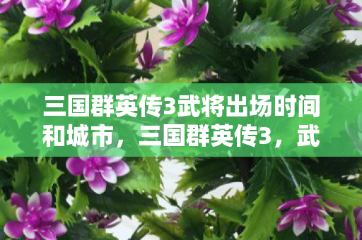 三国群英传3武将出场时间和城市，三国群英传3，武将的独特魅力与传奇故事