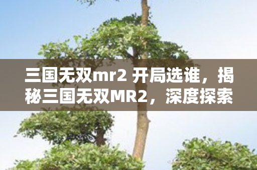 三国无双mr2 开局选谁,揭秘三国无双MR2,深度探索这款历史题材游戏的魅力与内涵 三国无双mr2 开局选谁,揭秘三国无双MR2,深度探索这款历史题材游戏的魅力与内涵
