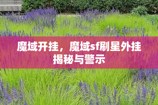 魔域开挂,魔域sf刷星外挂揭秘与警示 魔域开挂,魔域sf刷星外挂揭秘与警示
