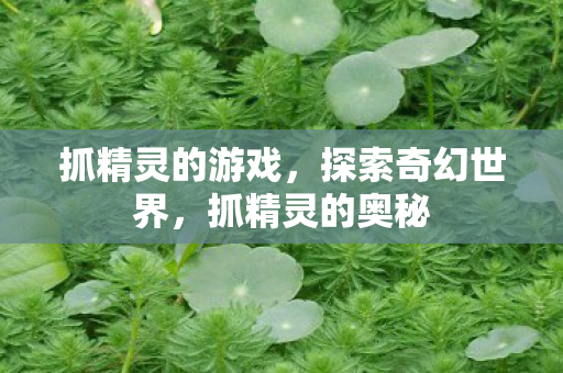 抓精灵的游戏,探索奇幻世界,抓精灵的奥秘 抓精灵的游戏,探索奇幻世界,抓精灵的奥秘