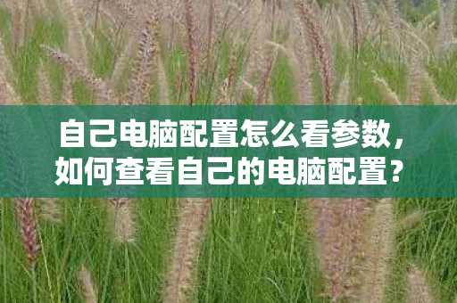 自己电脑配置怎么看参数,如何查看自己的电脑配置?全方位解析你的硬件设备 自己电脑配置怎么看参数,如何查看自己的电脑配置?全方位解析你的硬件设备