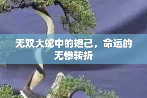 无双大蛇中的妲己图片