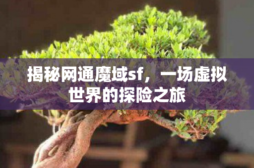 揭秘网通魔域sf,一场虚拟世界的探险之旅 揭秘网通魔域sf,一场虚拟世界的探险之旅