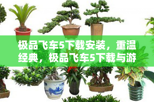 极品飞车5下载安装，重温经典，极品飞车5下载与游戏回顾
