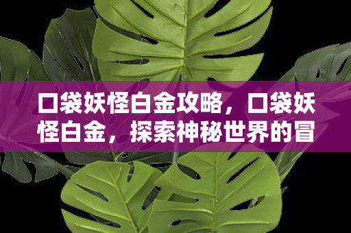 口袋妖怪白金攻略,口袋妖怪白金,探索神秘世界的冒险之旅 口袋妖怪白金攻略,口袋妖怪白金,探索神秘世界的冒险之旅