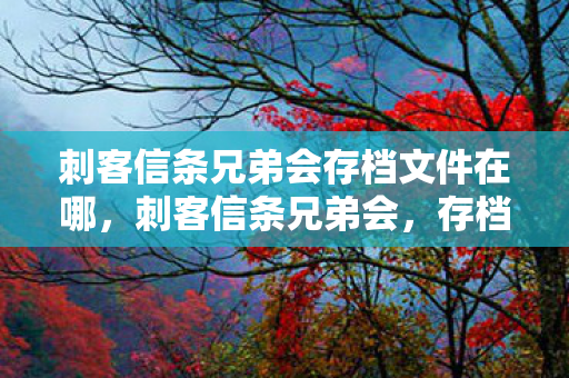 刺客信条兄弟会存档文件在哪，刺客信条兄弟会，存档中的传奇之旅