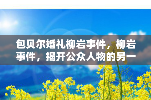 包贝尔婚礼柳岩事件,柳岩事件,揭开公众人物的另一面 包贝尔婚礼柳岩事件,柳岩事件,揭开公众人物的另一面