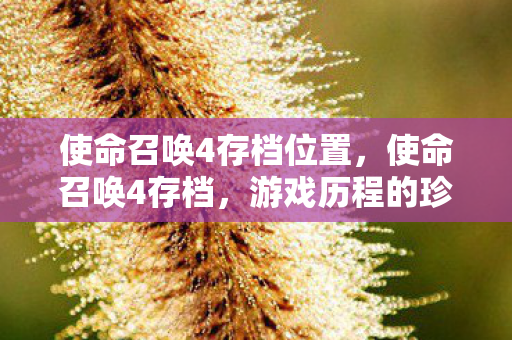 使命召唤4存档位置,使命召唤4存档,游戏历程的珍贵记忆 使命召唤4存档位置,使命召唤4存档,游戏历程的珍贵记忆