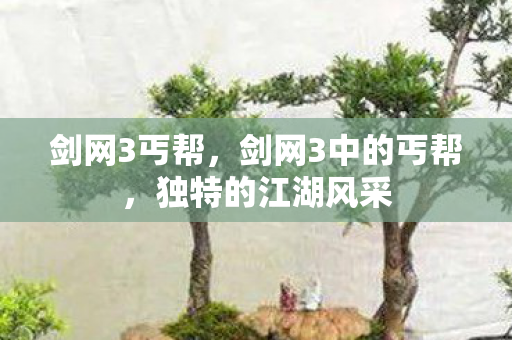 剑网3丐帮,剑网3中的丐帮,独特的江湖风采 剑网3丐帮,剑网3中的丐帮,独特的江湖风采