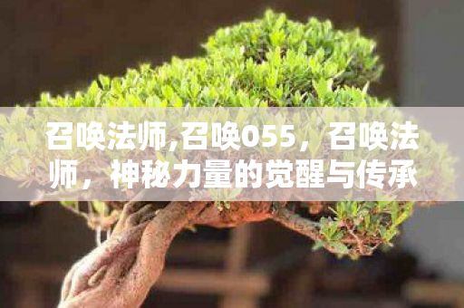 召唤法师,召唤055，召唤法师，神秘力量的觉醒与传承