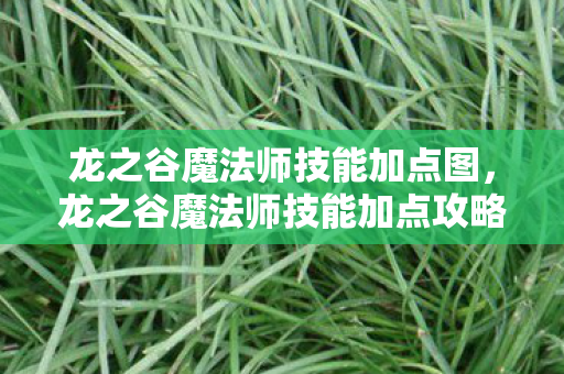 龙之谷魔法师技能加点图,龙之谷魔法师技能加点攻略,掌握核心技能,成为顶尖法师! 龙之谷魔法师技能加点图,龙之谷魔法师技能加点攻略,掌握核心技能,成为顶尖法师!
