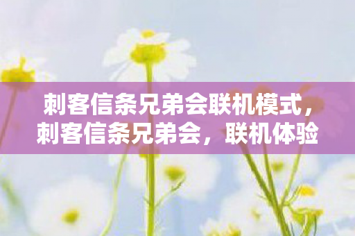 刺客信条兄弟会联机模式,刺客信条兄弟会,联机体验与深入解析 刺客信条兄弟会联机模式,刺客信条兄弟会,联机体验与深入解析