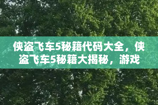 侠盗飞车5秘籍代码大全,侠盗飞车5秘籍大揭秘,游戏世界的无尽冒险之旅 侠盗飞车5秘籍代码大全,侠盗飞车5秘籍大揭秘,游戏世界的无尽冒险之旅