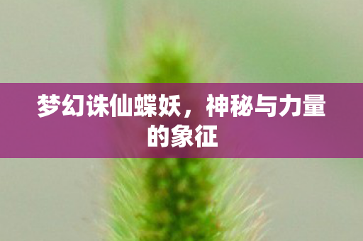 神秘与力量的象征图片