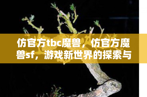 仿官方tbc魔兽，仿官方魔兽sf，游戏新世界的探索与挑战