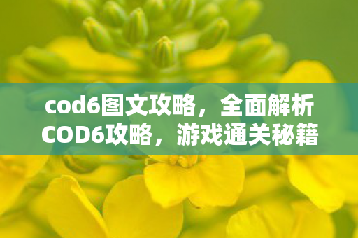 cod6图文攻略，全面解析COD6攻略，游戏通关秘籍与技巧