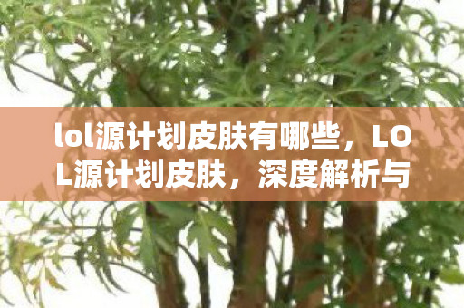 lol源计划皮肤有哪些，LOL源计划皮肤，深度解析与鉴赏