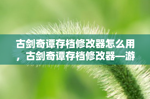 古剑奇谭存档修改器怎么用,古剑奇谭存档修改器—游戏玩家的秘密武器 古剑奇谭存档修改器怎么用,古剑奇谭存档修改器—游戏玩家的秘密武器