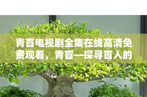 青盲电视剧全集在线高清免费观看，青盲—探寻盲人的内心世界与独特视角