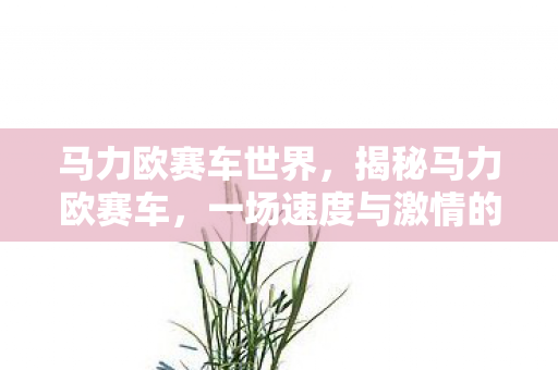 马力欧赛车世界，揭秘马力欧赛车，一场速度与激情的盛宴