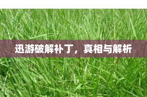 迅游破解补丁图片